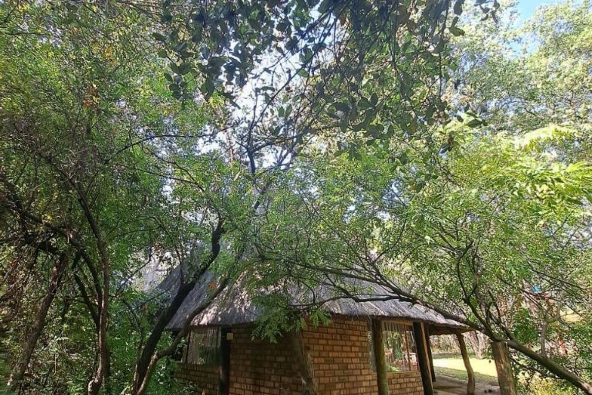 A rustic farm-style cottage featuring exposed brick walls and a traditional thatch roof, nestled within a lush, tree-filled garden setting.