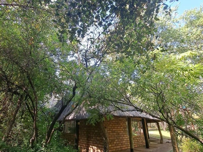 A rustic farm-style cottage featuring exposed brick walls and a traditional thatch roof, nestled within a lush, tree-filled garden setting.