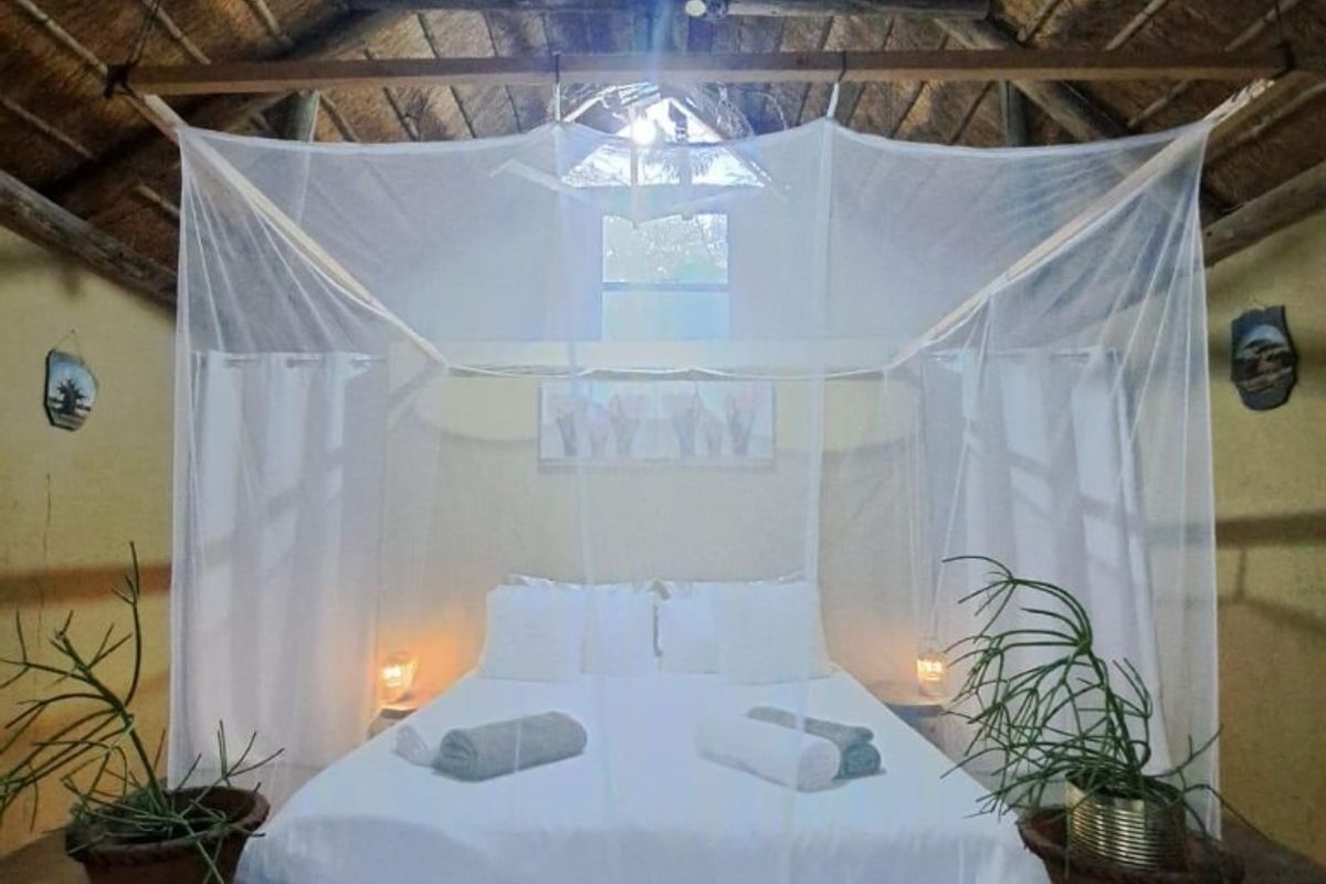 A rustic bedroom featuring a traditional thatched roof with exposed timber rafters, creating a warm and authentic farm-style atmosphere.