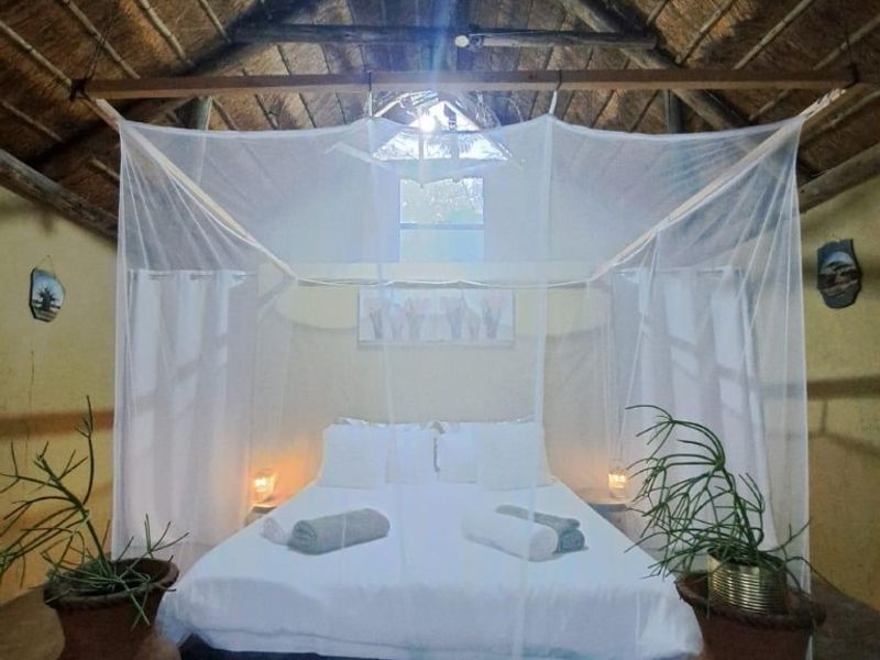 A rustic bedroom featuring a traditional thatched roof with exposed timber rafters, creating a warm and authentic farm-style atmosphere.