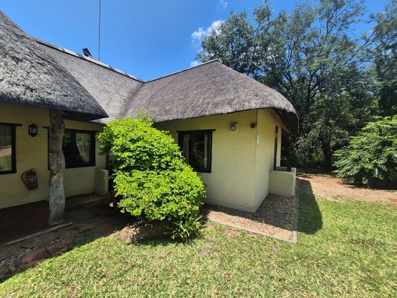 Rear view of a house featuring a traditional thatched roof, plastered exterior walls, and established garden surroundings.
