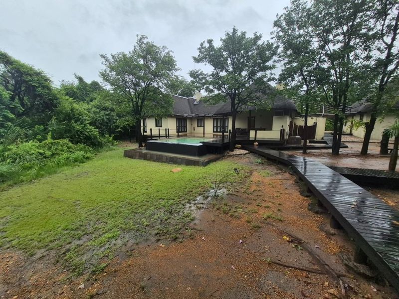 Rear view of a property featuring a swimming pool, timber decking, and a raised wooden walkway set within a natural, landscaped garden environment.