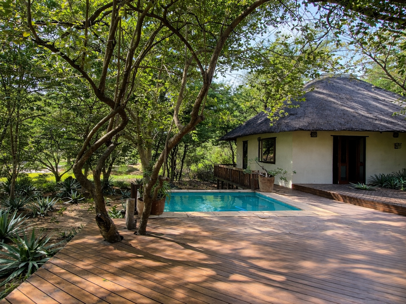 A tranquil outdoor pool area featuring a swimming pool set within a spacious timber deck, surrounded by lush trees and a thatched-roof structure.