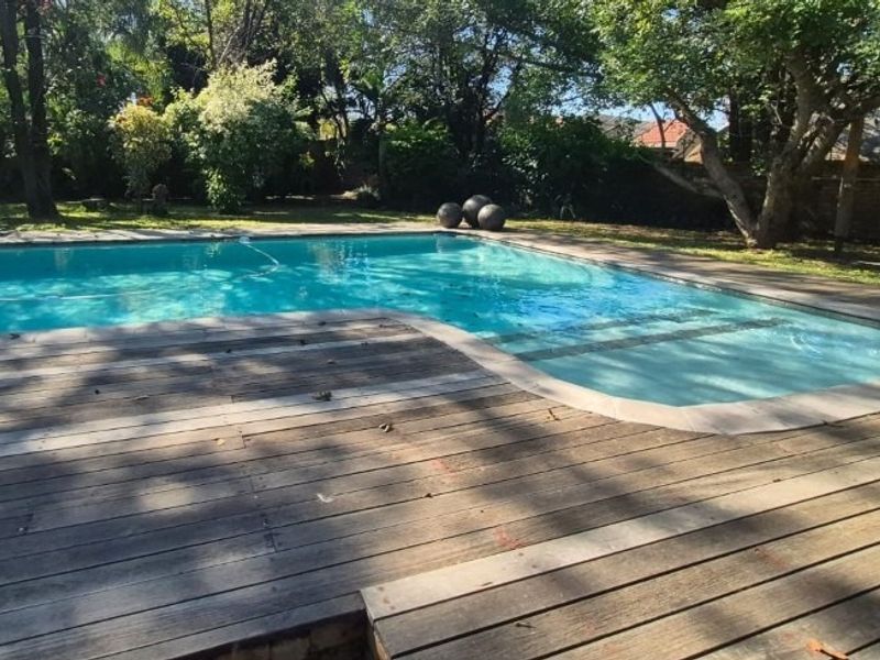 A backyard swimming pool featuring a timber deck surround and mature garden landscaping.