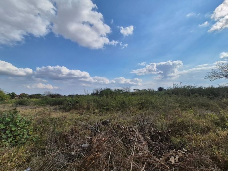 A view of an undeveloped residential plot featuring natural vegetation and open space under a clear blue sky.