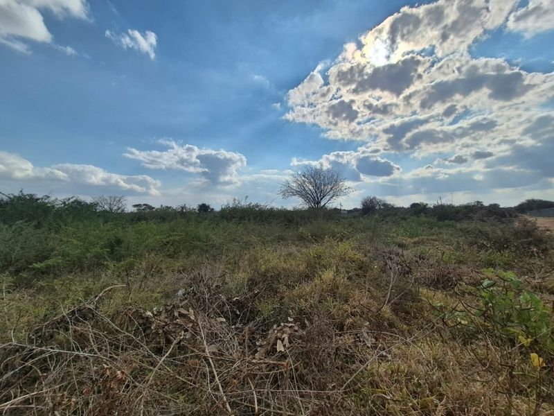 A wide-angle view of a vacant residential plot featuring natural vegetation and open sky.