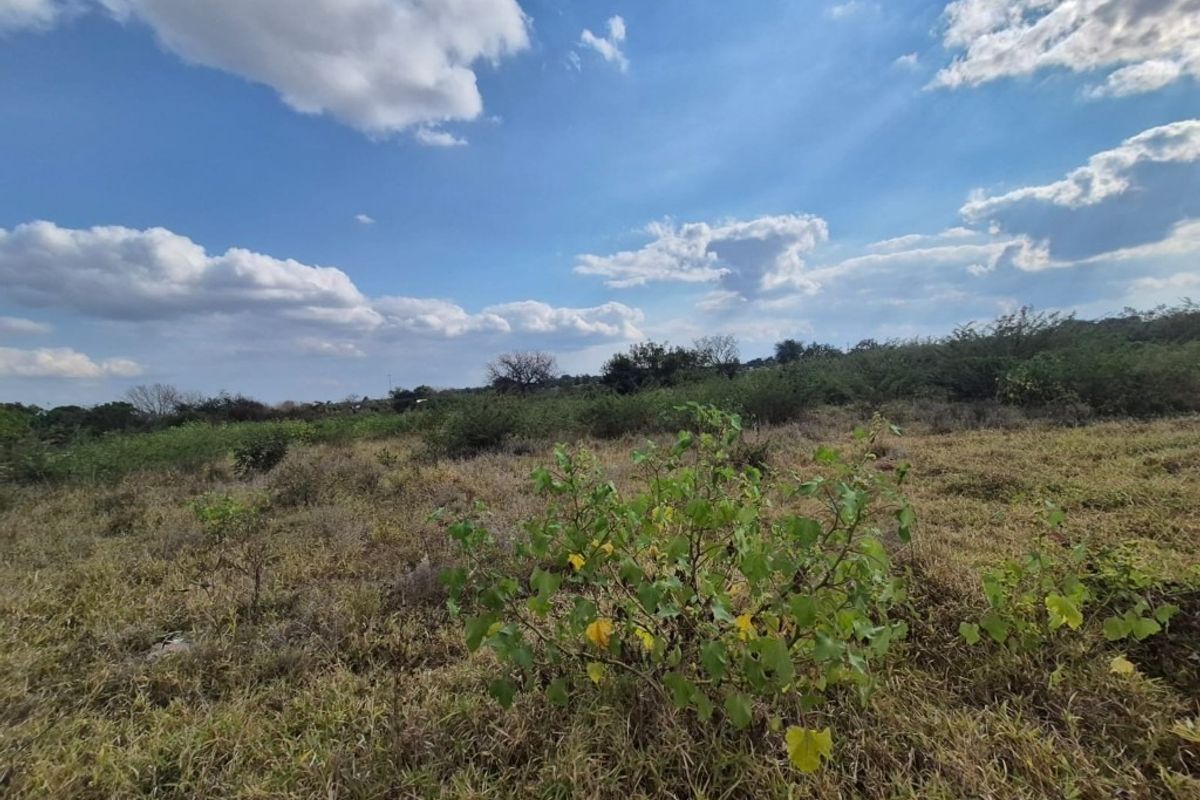 A view of the vacant residential land featuring natural vegetation and open space, suitable for future development.