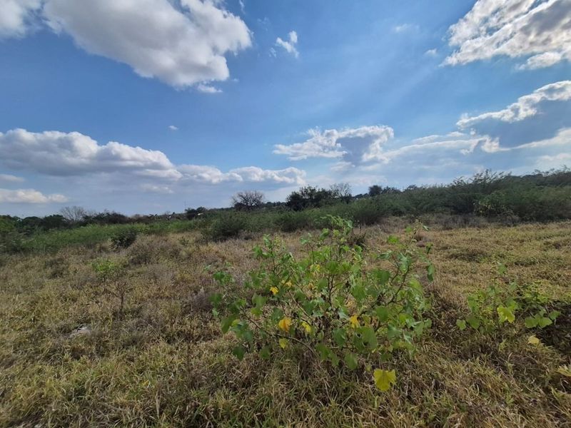 A view of the vacant residential land featuring natural vegetation and open space, suitable for future development.