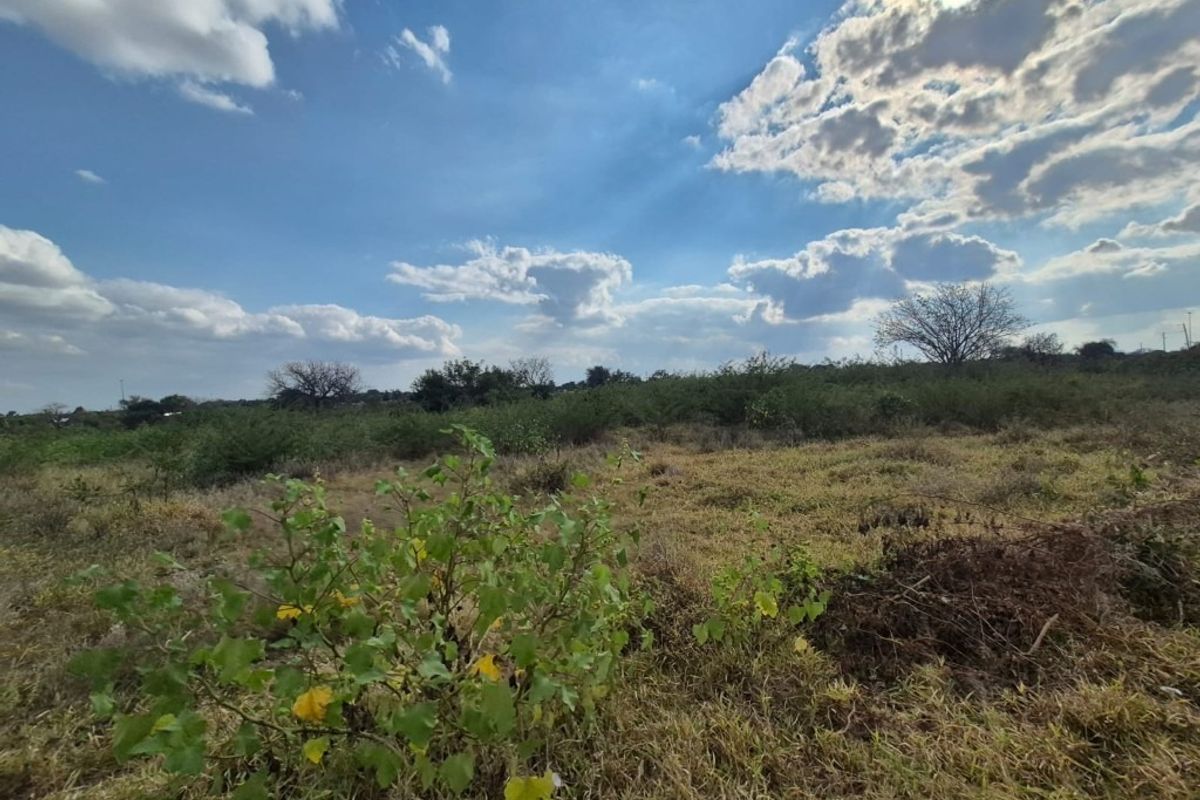 A wide-angle view of a vacant residential plot featuring natural vegetation and open landscape under a bright, cloudy sky.