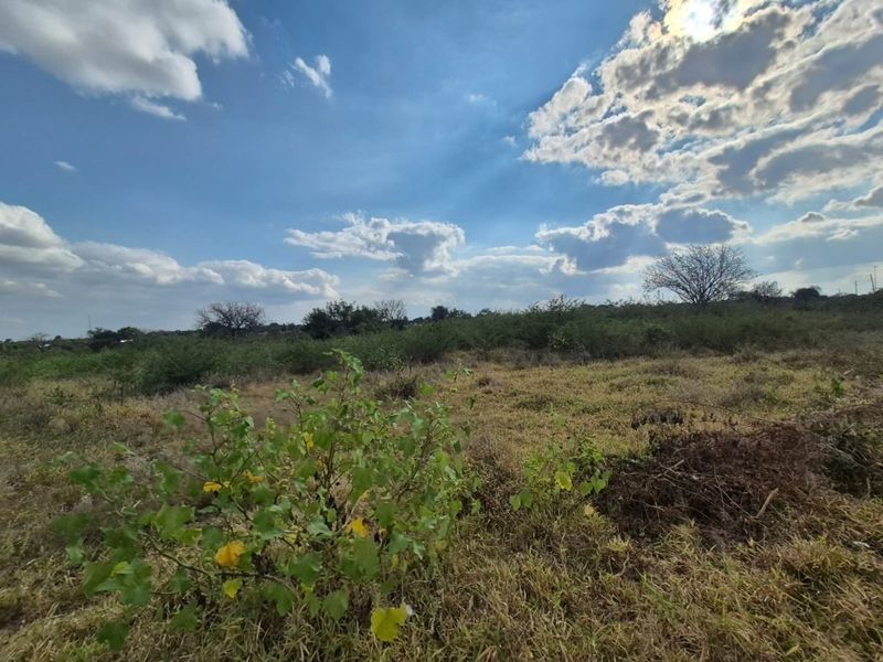 A wide-angle view of a vacant residential plot featuring natural vegetation and open landscape under a bright, cloudy sky.