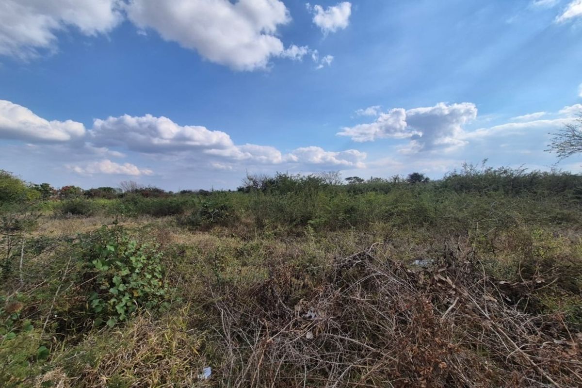 A view of an undeveloped residential plot featuring natural vegetation and open space under a clear blue sky.