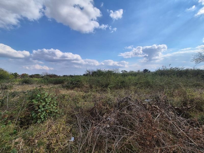 A view of an undeveloped residential plot featuring natural vegetation and open space under a clear blue sky.