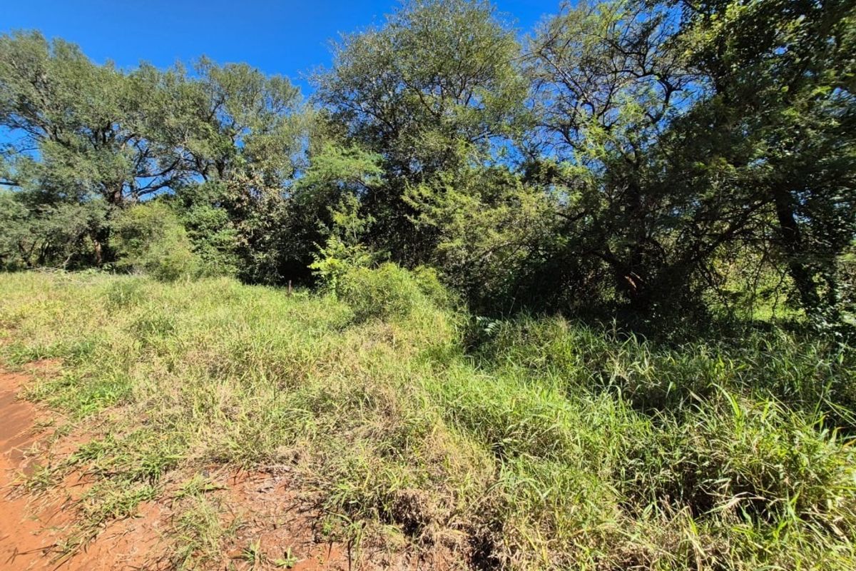 A view of a vacant residential plot featuring natural vegetation and mature trees.