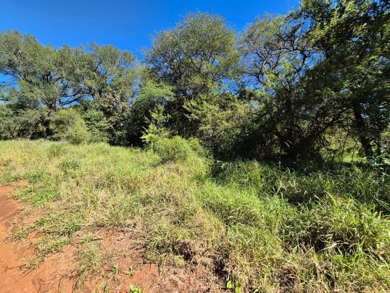 A view of a vacant residential plot featuring natural vegetation and mature trees.