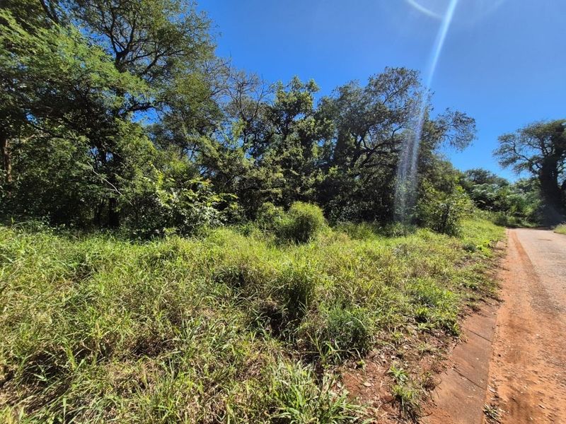 A view of a vacant residential plot featuring natural vegetation, mature trees, and direct access to an adjacent asphalt road.