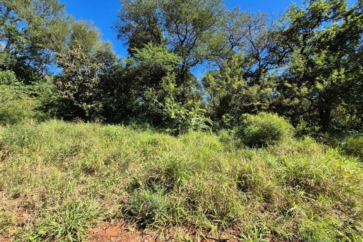 A view of a sloped residential plot featuring established trees and natural grass cover.