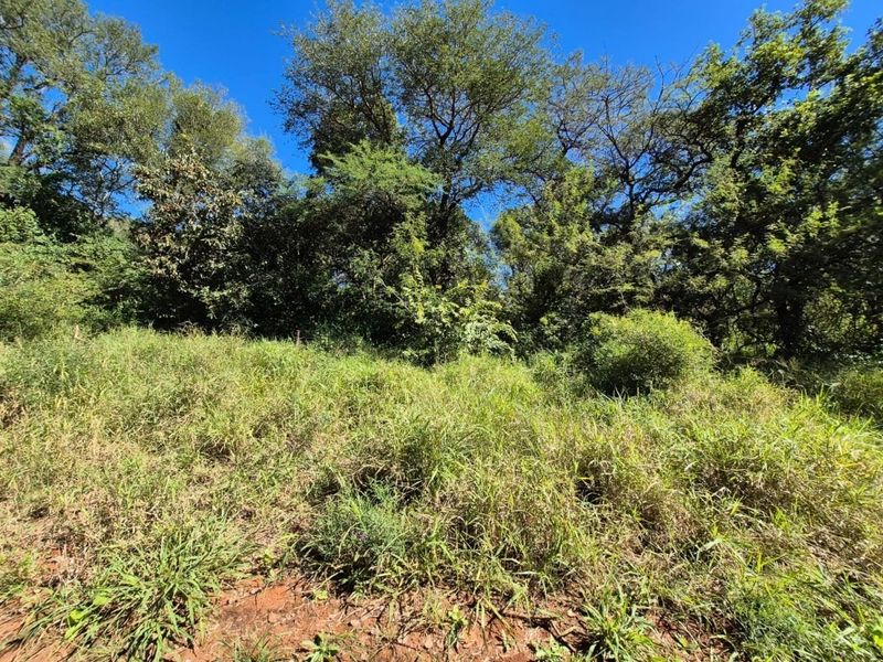 A view of a sloped residential plot featuring established trees and natural grass cover.