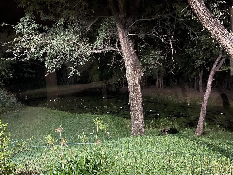 A night-time view of a landscaped garden featuring a pond, mature trees, and a wire perimeter fence.