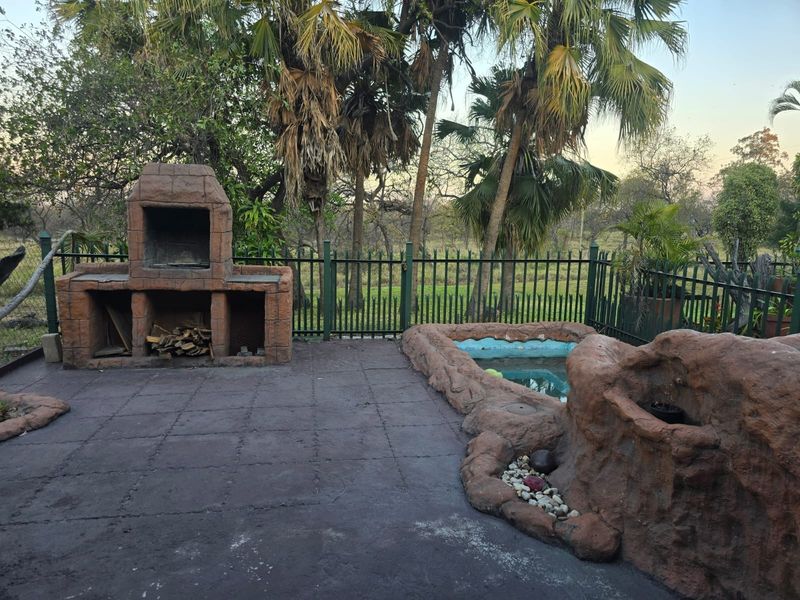 Outdoor entertainment area featuring a built-in stone braai, a rock-feature plunge pool, and paved patio space enclosed by metal fencing.