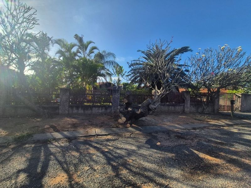 Street view of the property frontage featuring a stone boundary wall, metal fencing, and mature trees along the verge.