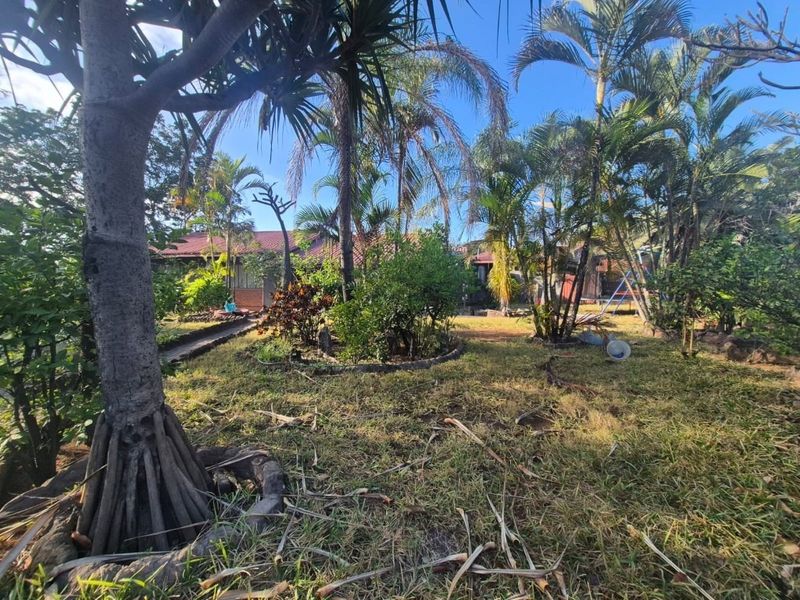 A spacious garden area featuring mature trees, established landscaping, and a paved pathway leading toward the rear of the property.