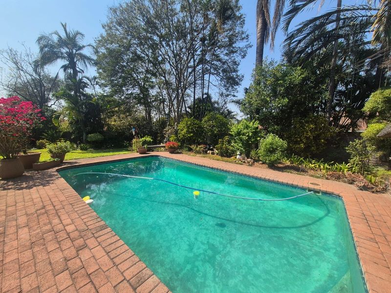 A private swimming pool area featuring brick coping and a lush, mature garden setting.