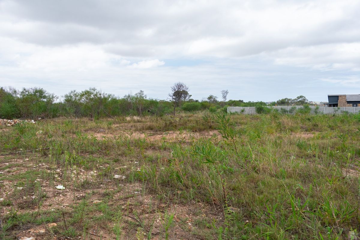 A view of a vacant residential plot featuring natural vegetation and a boundary wall in the background.