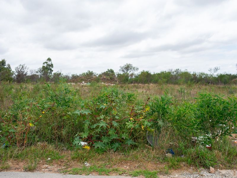 A view of a vacant residential plot featuring overgrown natural vegetation and visible debris on the ground.