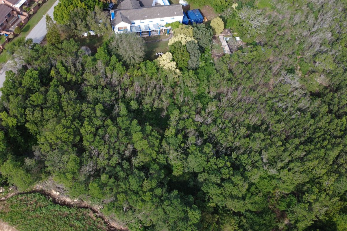 Aerial view of a large, densely wooded residential plot with established trees and surrounding neighborhood context.