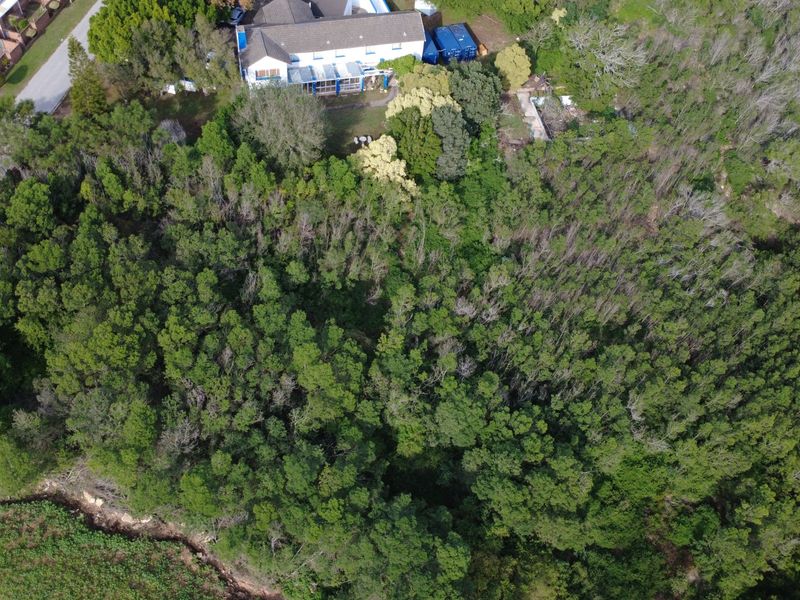 Aerial view of a large, densely wooded residential plot with established trees and surrounding neighborhood context.