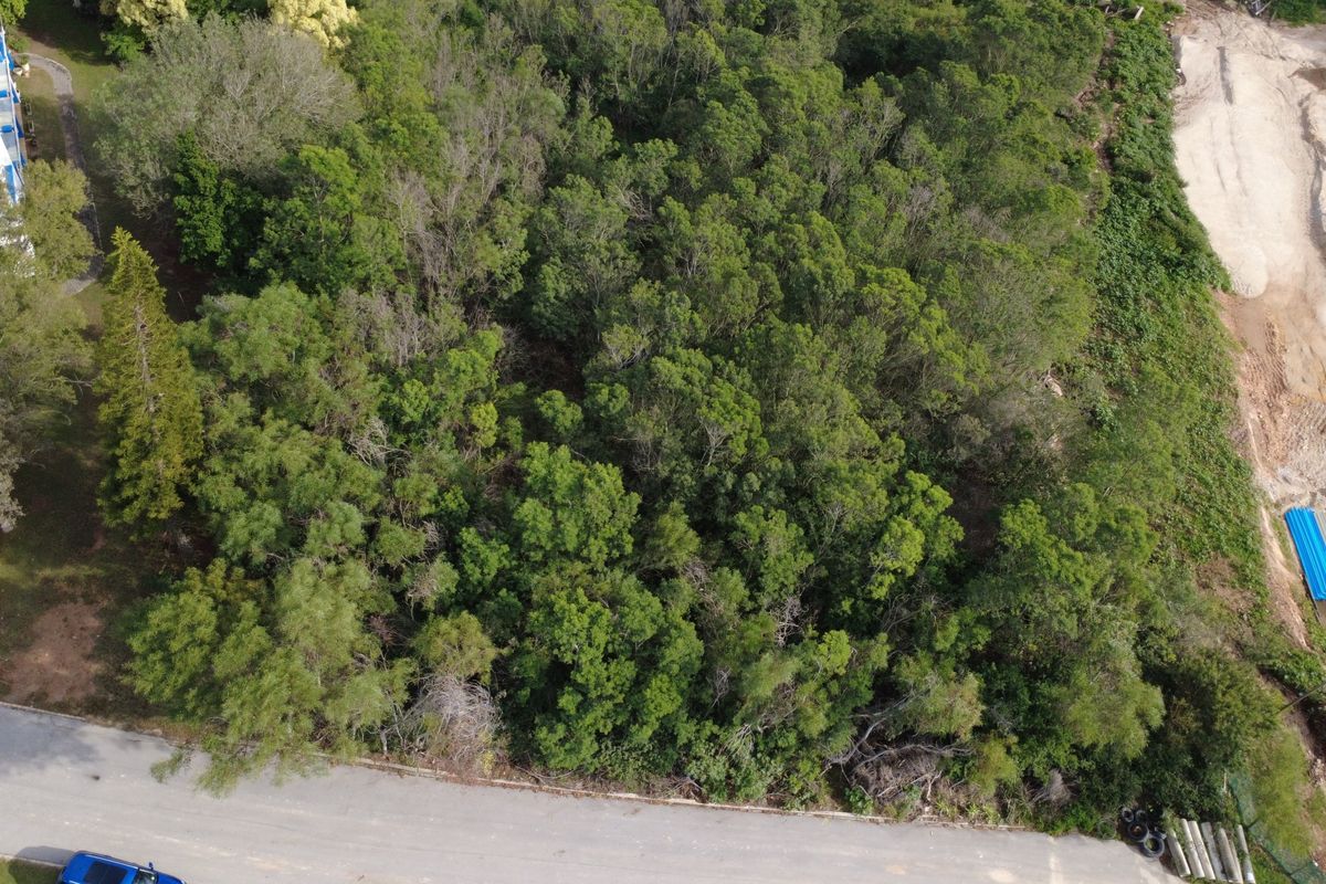 Aerial view of a vacant residential plot featuring dense natural vegetation and direct access to an adjacent asphalt road.