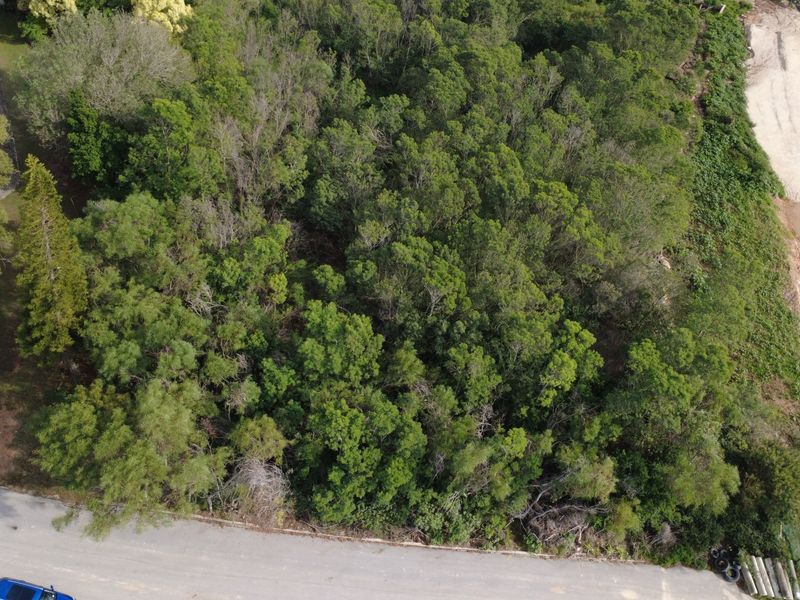 Aerial view of a vacant residential plot featuring dense natural vegetation and direct access to an adjacent asphalt road.