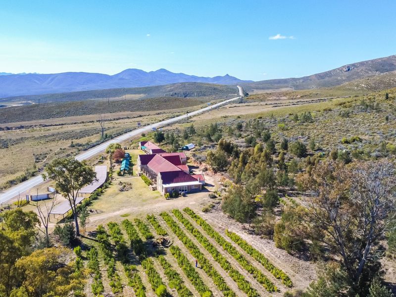 Aerial view of the guest house property featuring a metal roof, surrounding vineyard, and direct access to the main road.