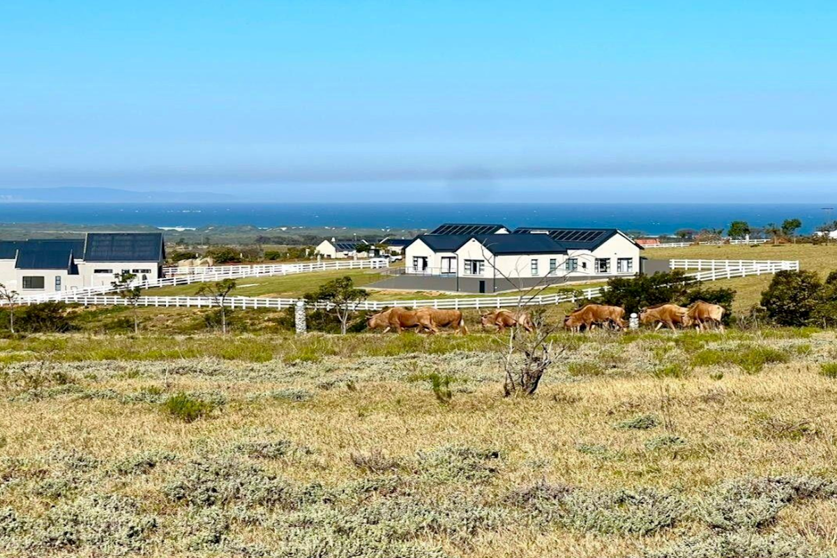 A scenic view of a residential estate featuring modern homes with solar panels, white fencing, and a coastal backdrop.
