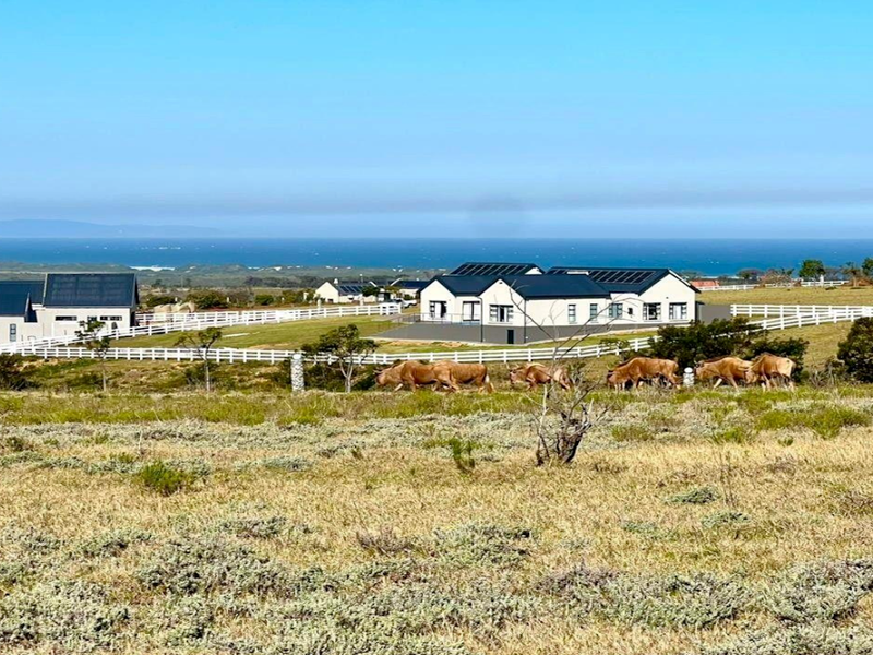A scenic view of a residential estate featuring modern homes with solar panels, white fencing, and a coastal backdrop.
