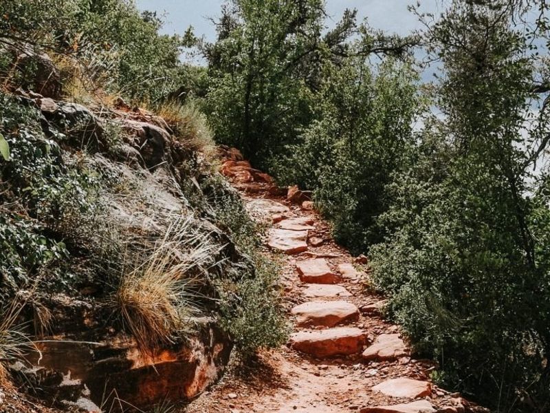 A natural stone pathway winding through a scenic, wooded landscape with native rock formations and established trees.