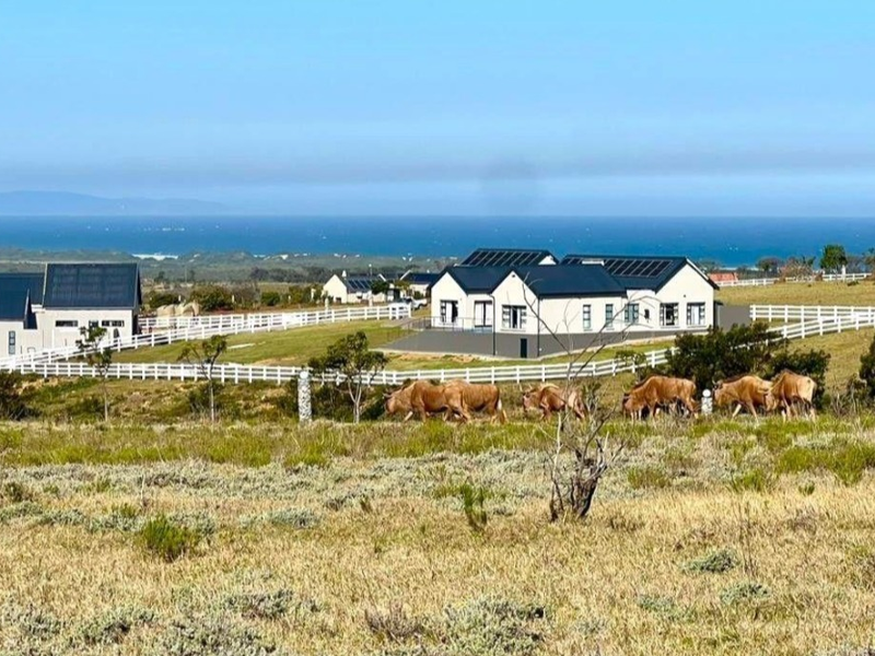 A scenic view of a residential estate featuring modern homes with solar panels, white fencing, and a backdrop of the ocean.