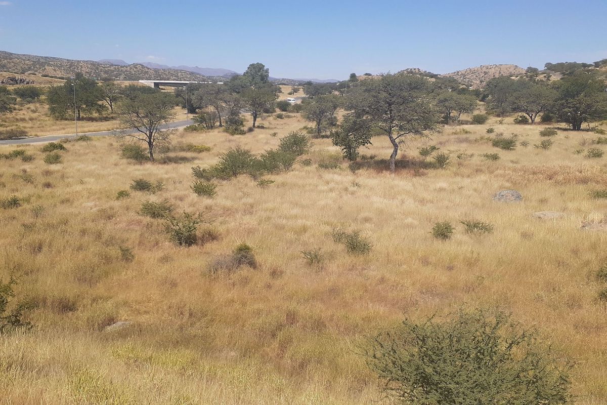 An expansive view of undeveloped commercial land featuring natural vegetation, dry grass, and proximity to a paved road and highway infrastructure.