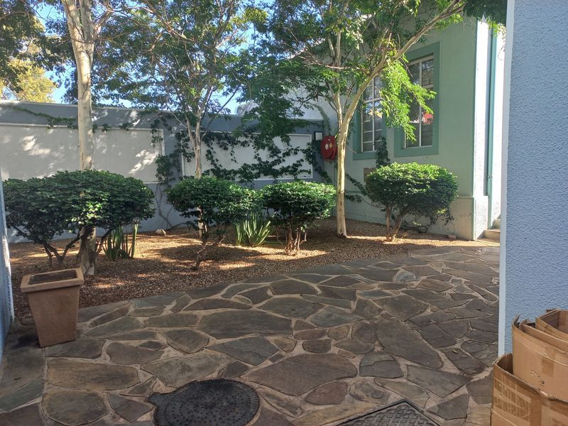 A well-maintained rear courtyard featuring stone paving, established trees, and a secure boundary wall with integrated fire safety equipment.