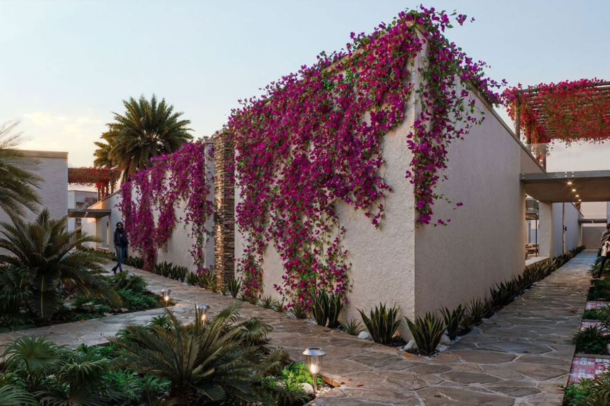 Invest in Oasis Family-Friendly Resort, Swakopmund - Photo 3