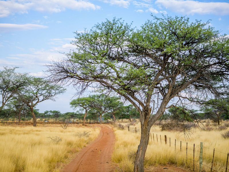 EXPANSIVE NAMIBIAN AGRICULTURAL AND GAME FARM - Photo 8