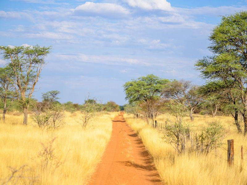 EXPANSIVE NAMIBIAN AGRICULTURAL AND GAME FARM - Photo 9
