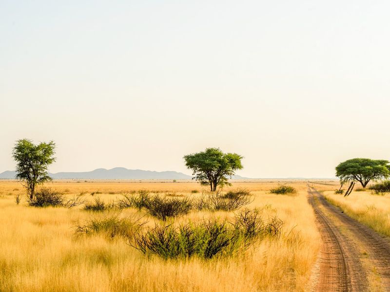 EXPANSIVE NAMIBIAN AGRICULTURAL AND GAME FARM - Photo 7