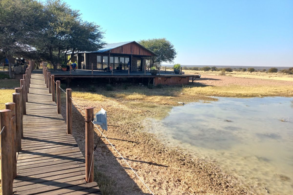 African Tranquility. - Photo 3