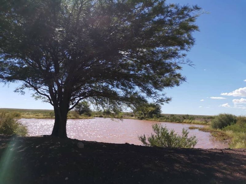 Kalahari Farm - Photo 10