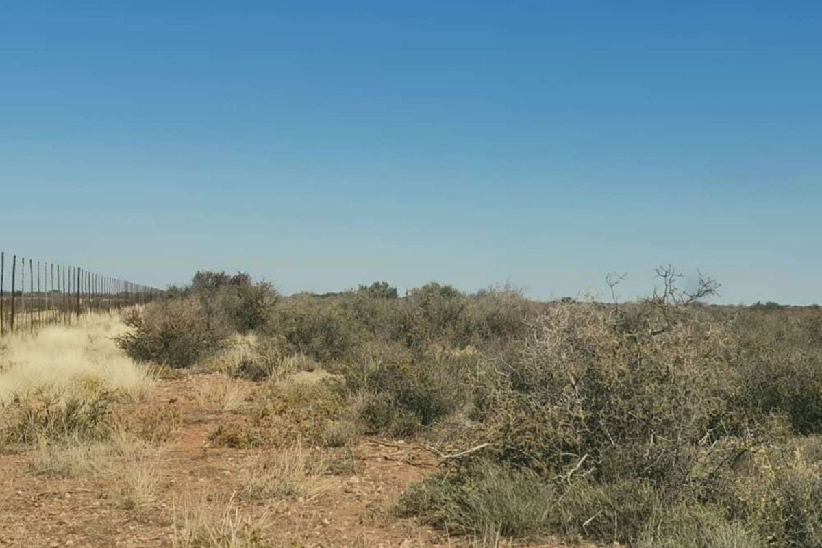 Kalahari Farm - Photo 5