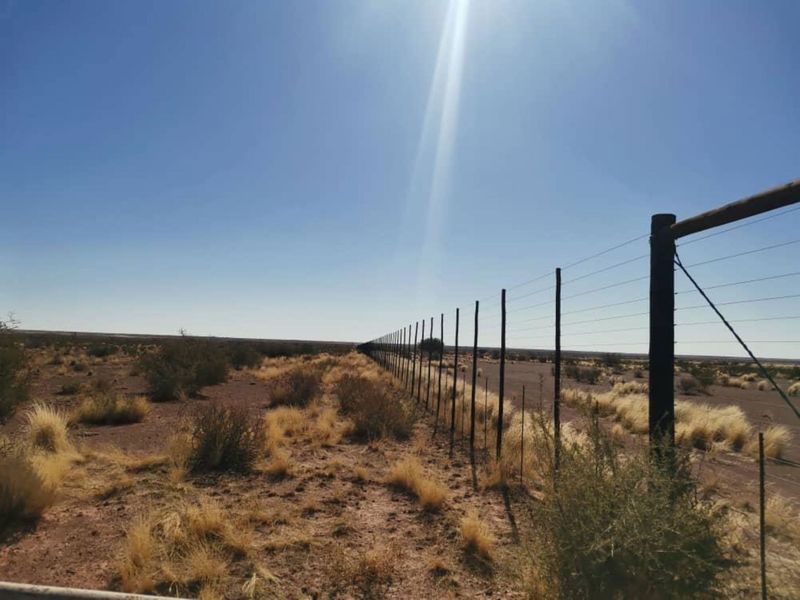 Kalahari Farm - Photo 9