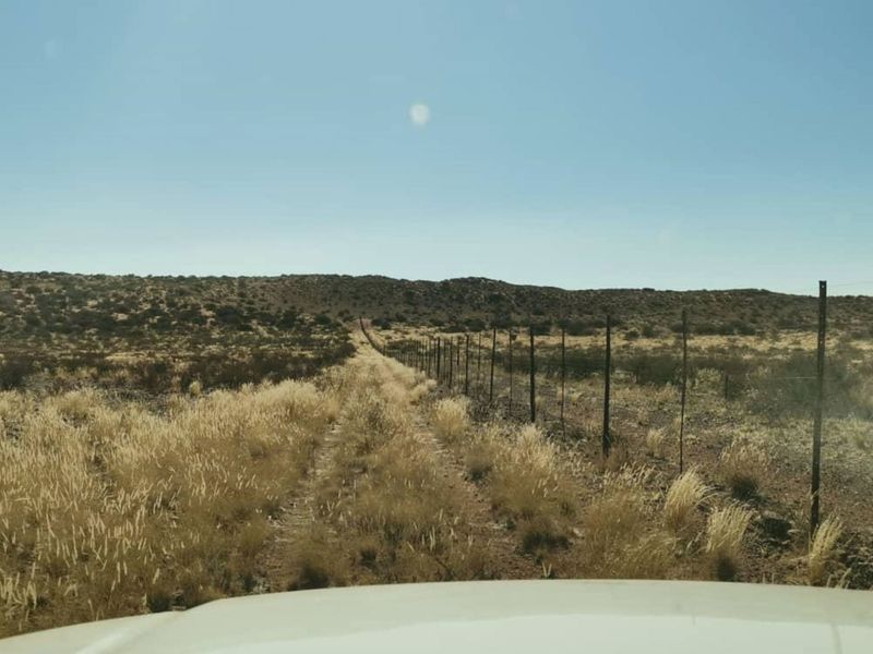 Kalahari Farm - Photo 8