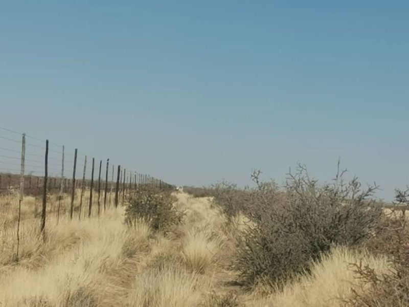 Kalahari Farm - Photo 7