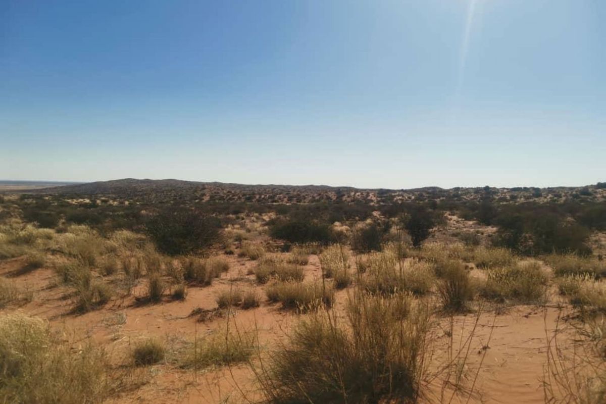 Kalahari Farm - Photo 4